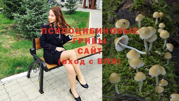 спиды Абаза