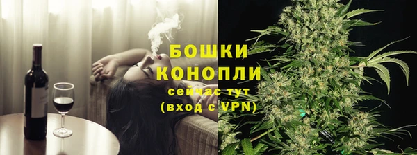 сатива Абинск