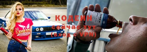 прущие грибы Саяногорск